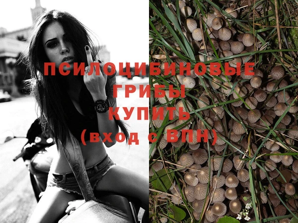 PSILOCYBIN Белоозёрский