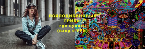 PSILOCYBIN Белоозёрский