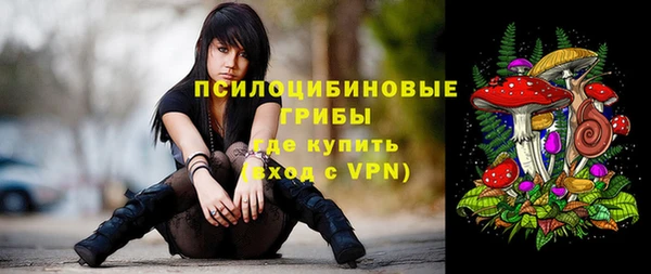 PSILOCYBIN Белоозёрский