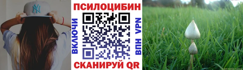 наркотики  Верещагино  Галлюциногенные грибы MAGIC MUSHROOMS 